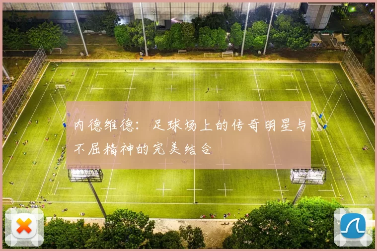 内德维德：足球场上的传奇明星与不屈精神的完美结合