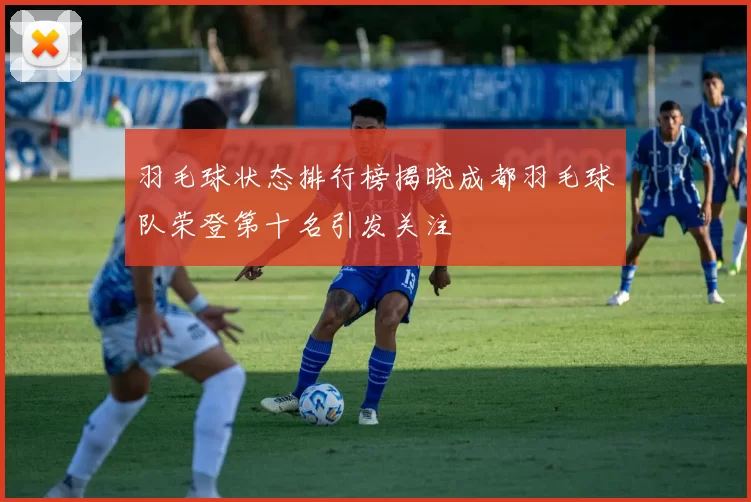 羽毛球状态排行榜揭晓成都羽毛球队荣登第十名引发关注