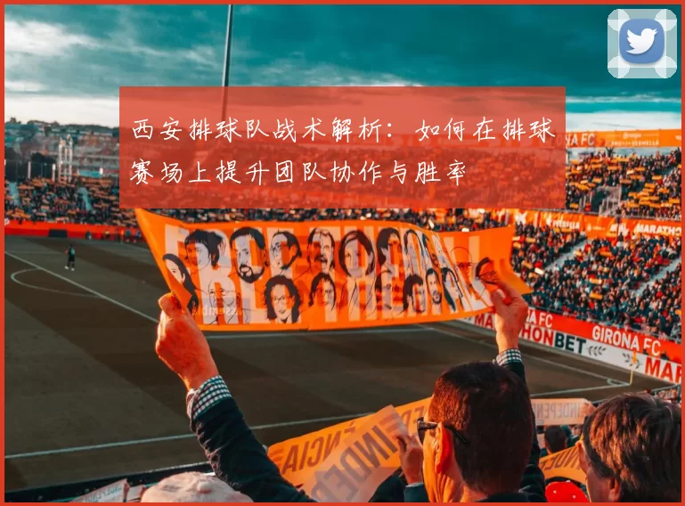 西安排球队战术解析：如何在排球赛场上提升团队协作与胜率