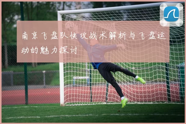 南京飞盘队快攻战术解析与飞盘运动的魅力探讨