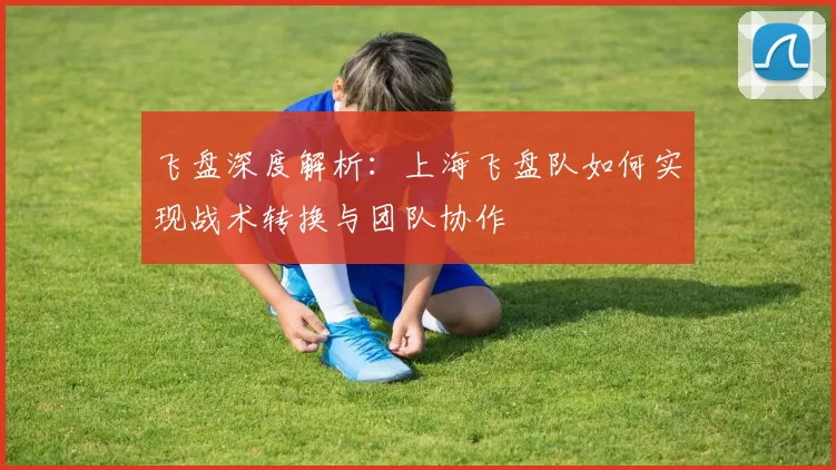 飞盘深度解析：上海飞盘队如何实现战术转换与团队协作