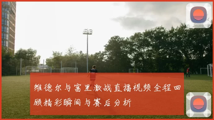 维德尔与富里激战直播视频全程回顾精彩瞬间与赛后分析