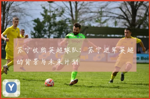苏宁收购英超球队：苏宁进军英超的背景与未来计划