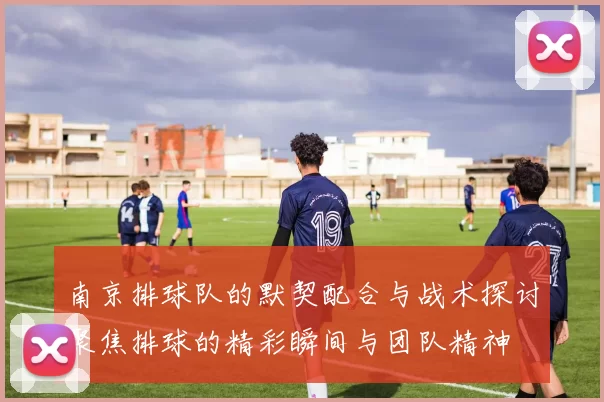 南京排球队的默契配合与战术探讨聚焦排球的精彩瞬间与团队精神