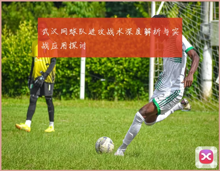 武汉网球队进攻战术深度解析与实战应用探讨