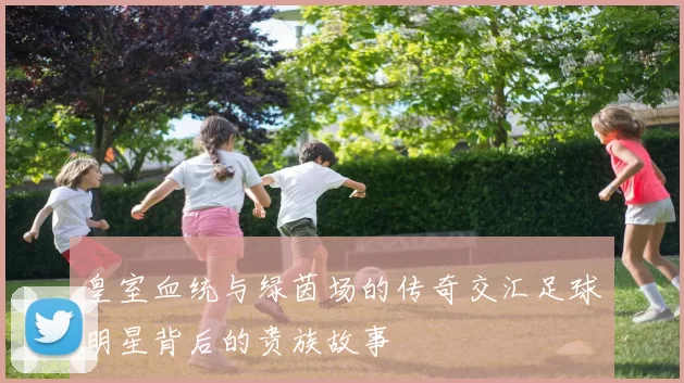 皇室血统与绿茵场的传奇交汇足球明星背后的贵族故事