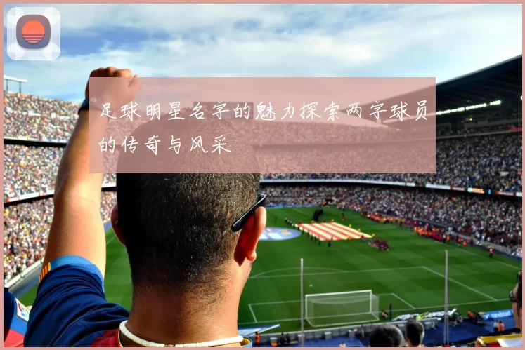 足球明星名字的魅力探索两字球员的传奇与风采