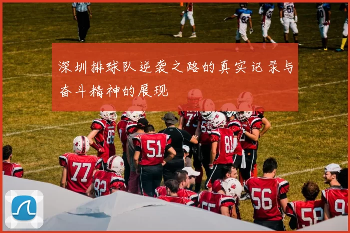 深圳排球队逆袭之路的真实记录与奋斗精神的展现
