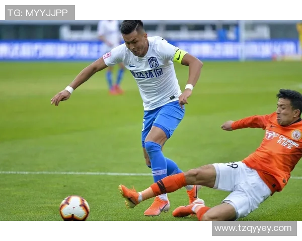 总冠军之路：从起点到巅峰，见证荣耀与奋斗的完美交织