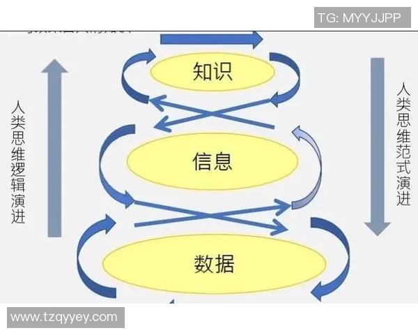 深入解析上海攀岩队实力表现的数据分析与趋势研究