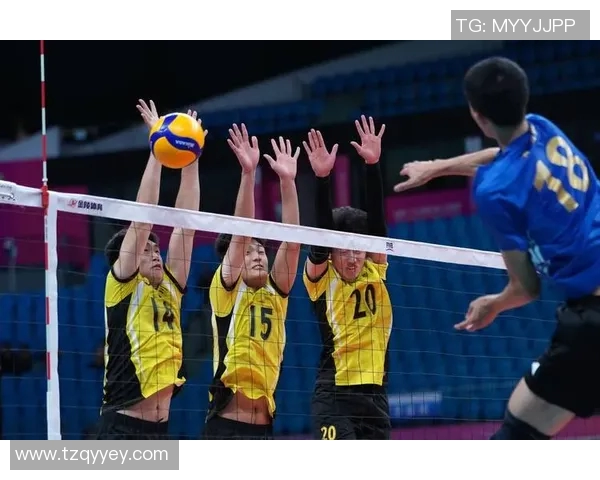 排球技术排行榜揭晓上海排球队荣获第六名成就辉煌
