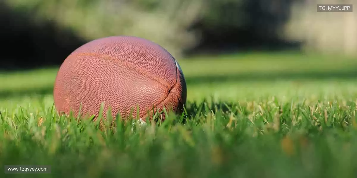 👟 专业级装备，助你突破身体极限！✨